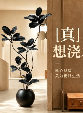 仿真绿植黑金刚假绿植假树假植物
