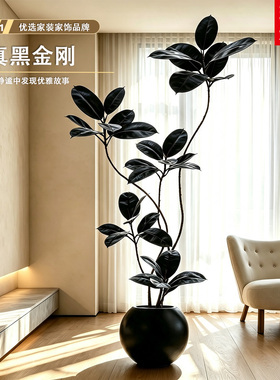 黑金刚仿真绿植家居装饰假植物