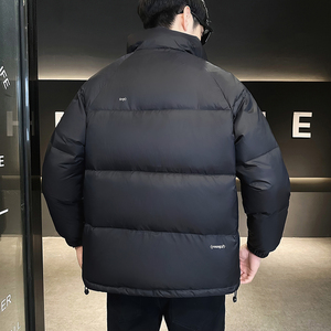 @店主风-跑量冬白鸭绒纯色立领羽绒服潮流男上衣YR869-特P110图片
