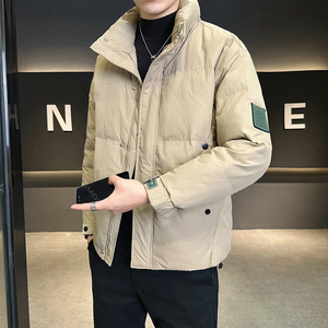 @店主风-大新标90%高克数外套羽绒服男肌理感YR878-特P160图片