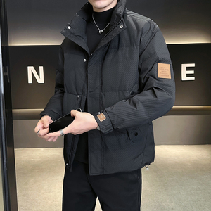 @店主风-大新标90%高克数白鸭绒羽绒服男肌理感YR878-P230图片