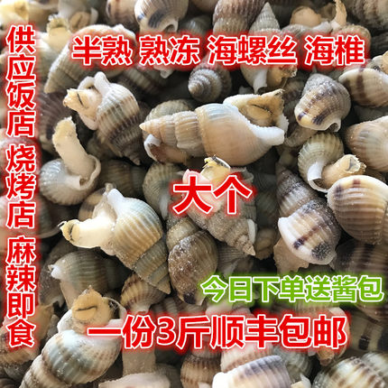 丹东特产鲜活海螺丝海锥海瓜子原料海椎半熟冻一份3斤顺丰包邮