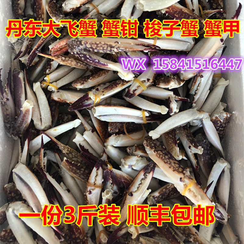 丹东大飞蟹蟹钳 梭子蟹蟹甲大飞蟹蟹腿新鲜蟹脚海鲜一份3斤包邮