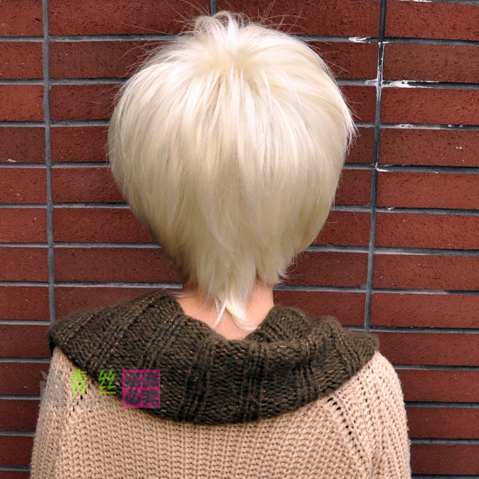 Perruque SANKINS    cheveux raides Court - Ref 2607891 Image 4