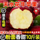 顺丰甘肃天水正宗花牛苹果直销蛇红果婴宝宝老人粉面沙脆新鲜水果