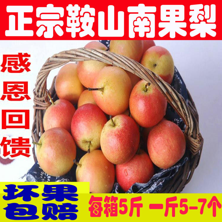 鞍山南国梨正宗东北特产南果梨 新鲜水果梨5斤装包邮当季梨香水梨