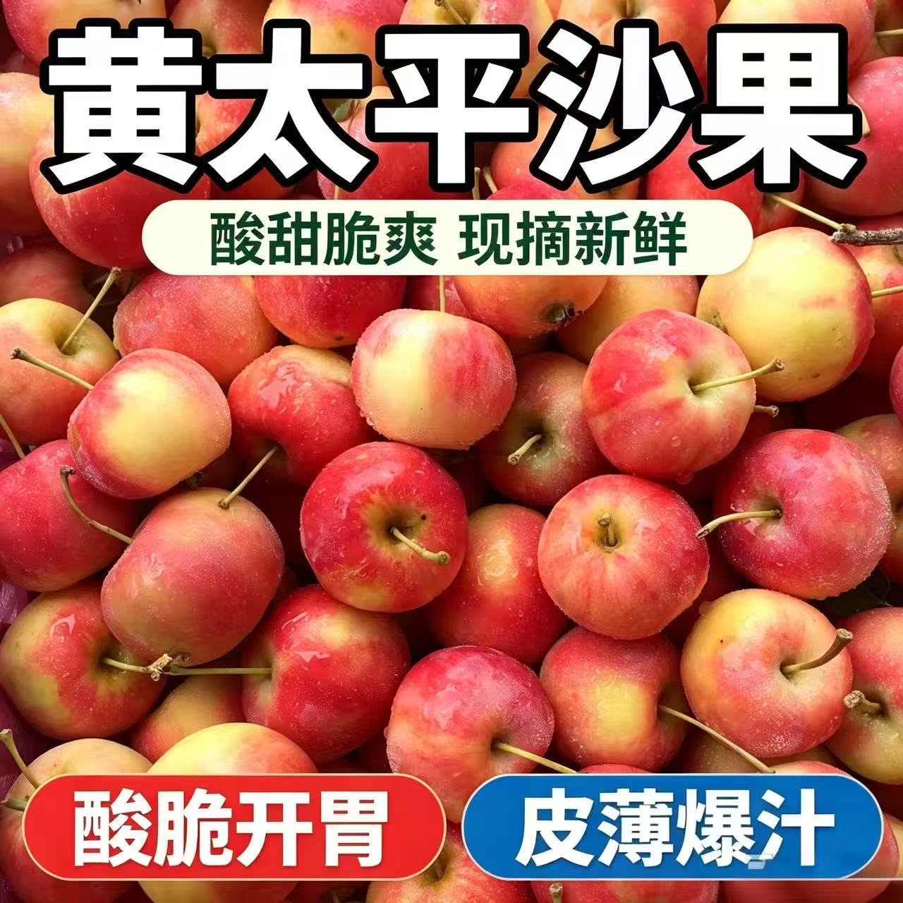 沙果东北海棠果黄太平沙果堪比灯笼果山丁子山楂脆4斤装多省包邮
