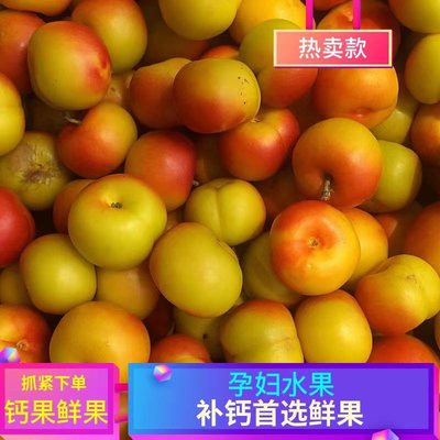 产地辽宁钙果辽宁产钙果李子