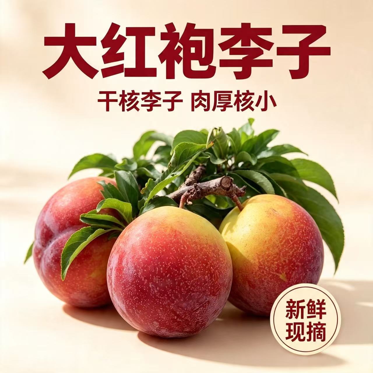 东北李子盖县大红袍李子酸甜辽宁