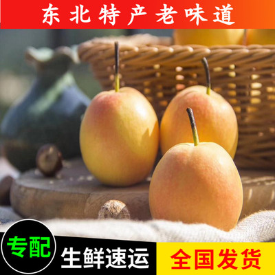 鞍山南果梨斤装正宗东北特产