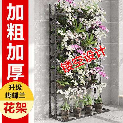 可移动层距自由调节角钢条蝴蝶兰花架国兰石斛兰秋海棠多层展示架