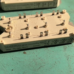SKD100GAL123D2，--议价商品