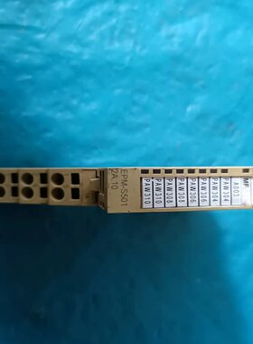 EPM-S501.2A.10 伦茨模块AO4，12BIT，--议价商品