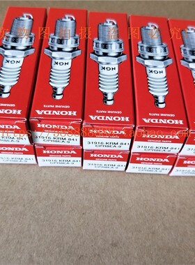 适用于新大洲本田战驭150越野车150L原厂NGK火花塞NGK CPR8EA-9