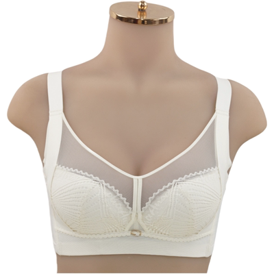 阁兰缇娜文胸聚拢收副乳中薄棉杯定型BC杯软钢圈内衣胸罩8502-1