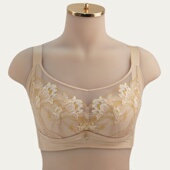 六月玫瑰文胸氧塑丰姿内衣女大胸显小薄款 全罩杯调整型体胸罩8153