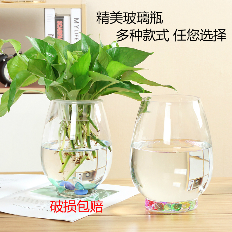 水培植物玻璃瓶绿萝花盆圆球养鱼