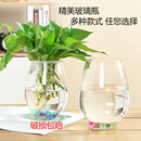 绿萝花瓶花盆玻璃圆球水养鱼缸器皿容器送定制栏 水培植物玻璃瓶