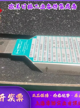 REMBE爆破片KUB/BT-KUB-0.75KUB