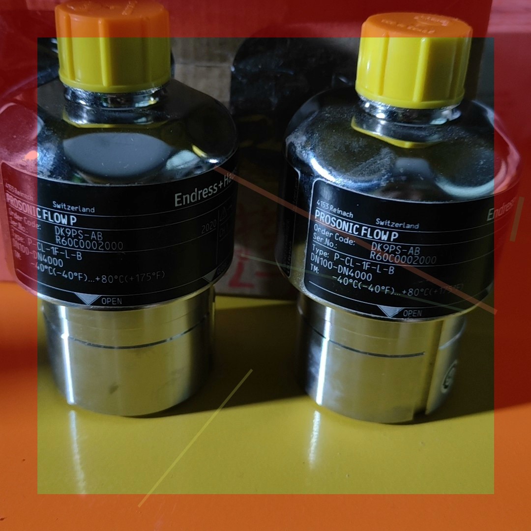 E+H DK9PS-AB  恩德斯豪斯全新超声波流量探头 P-CL-1F-L-B 议价