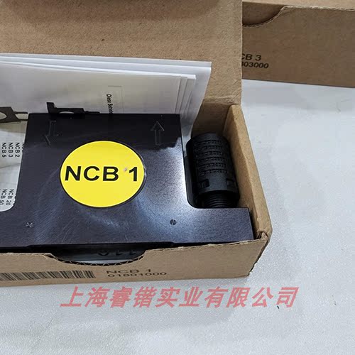 德国NETTERNCT3振动器