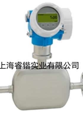 E+H      Proline Promass E 500 流量计