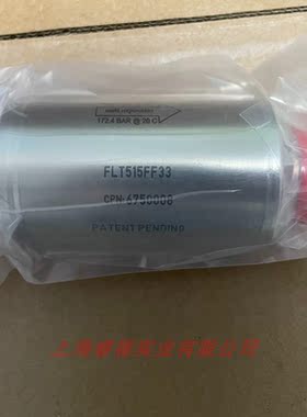 半导体高纯过滤器FLT515FF33