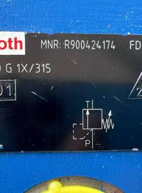 R900424174 DBDS20G1X/315，力士乐溢流阀【议】