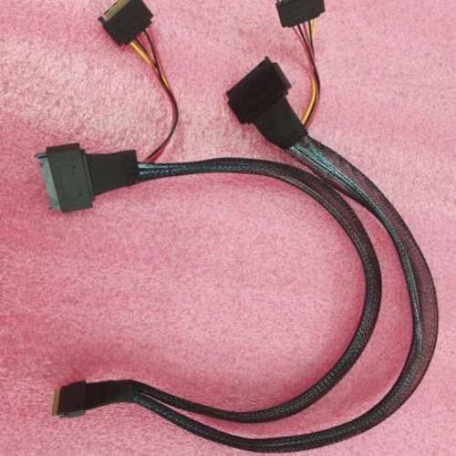 8654-8I转2*SFF8639 U.2 NVMe连接线[议]