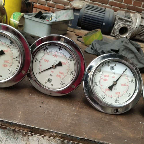 ZFYB耐震抗振压力表，YN100iii-600bar台，[议]