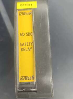 瑞奥REER安全继电器 ADSR0，新，功能，实【议】