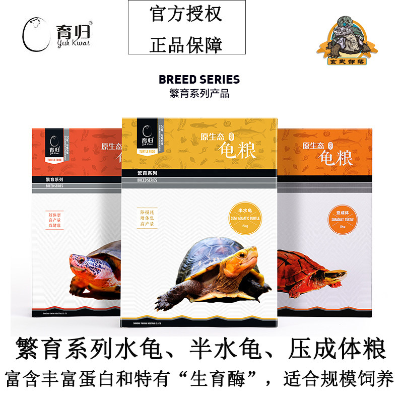 育归繁育水龟半水龟粮蛋龟闭壳龟