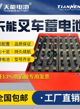 天能48V500AH电动叉车铅酸电池组