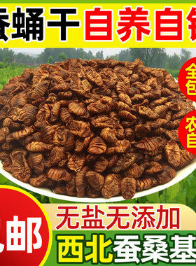 一级蚕蛹干陕南石泉特产2026年干蚕蛹干纯干桑蚕蛹原味干蚕蛹包邮