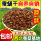 一级蚕蛹干陕南石泉特产2025年干蚕蛹干纯干桑蚕蛹原味干蚕蛹 包邮