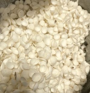 未挑选蚕茧帽蚕茧片蚕茧宝盖头蚕茧壳蚕茧碎片蚕茧包邮蚕丝皂原料