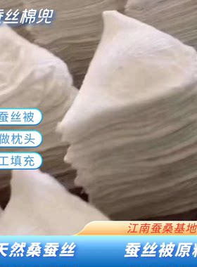 100%桑蚕丝棉手工棉兜DIY蚕丝被子原料棉袄枕头填充物双宫桑蚕茧