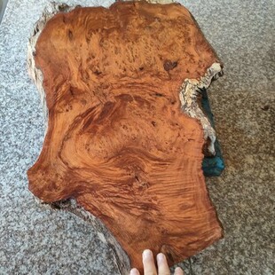 刺猬紫檀花梨樱瘿木料樱木瘤疤料树榴疤佛珠独板料留疤料干泡台料