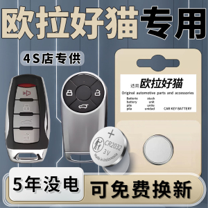 适用于欧拉好猫钥匙电池汽车专用车钥匙智能遥控遥控器进口纽扣钮