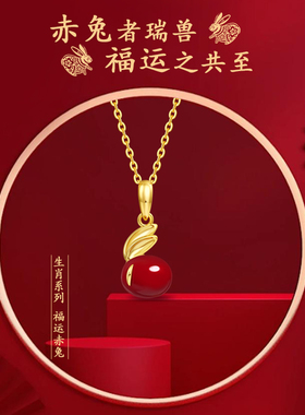 一饰小词项链本命年兔形首饰