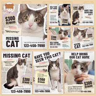 复古旧报纸拼贴悬赏寻猫启事照片排版饭圈海报psd模板素材