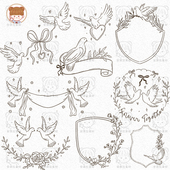 复古线描白鸽植物唯美标题框标签婚礼logo水印矢量AI png素材