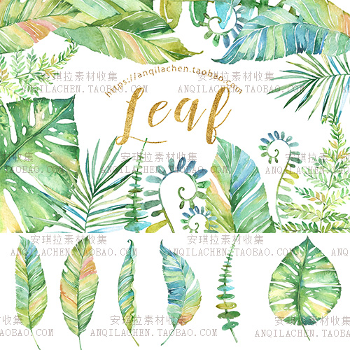 手绘清新水彩植物叶子产品包装印刷森系婚礼高清psd+png素材