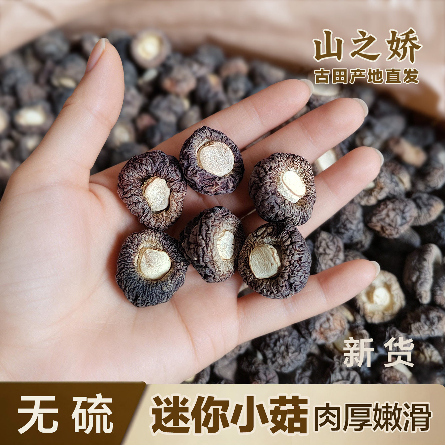 山之娇福建古田金钱菇农家香菇干货特产新菇冬菇剪脚肉质厚小香菇