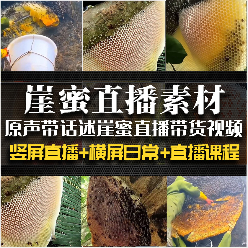 采蜂蜜视频户外悬崖野生蜂巢收割取蜜过程半无人直播带货蜜糖素材