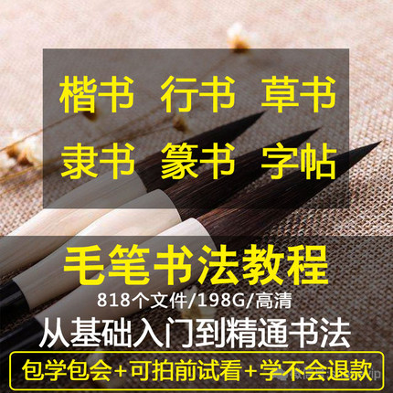 毛笔书法视频教程练字行书楷书隶书草书初学者零基础入门教学教材