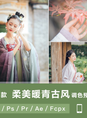 LR预设古风复古汉服古装PS人像FCPX达芬奇APP手机版滤镜PR调色LUT