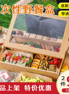 网红野餐盒一次性餐盒食品打包空盒子露营聚餐烤肉寿司牛皮纸大号