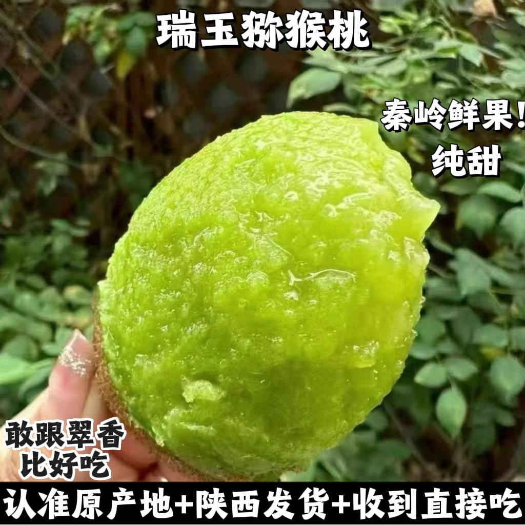 瑞玉猕猴桃陕西周至秦岭山下自家果园现摘现发比翠香还甜
