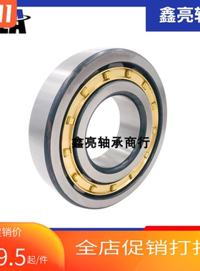 哈尔滨XLA减速机偏心轴承RN310 312 313 219 222 228 NF307M